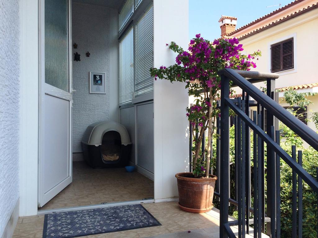 Apartments Kolorcek Изола Екстериор снимка